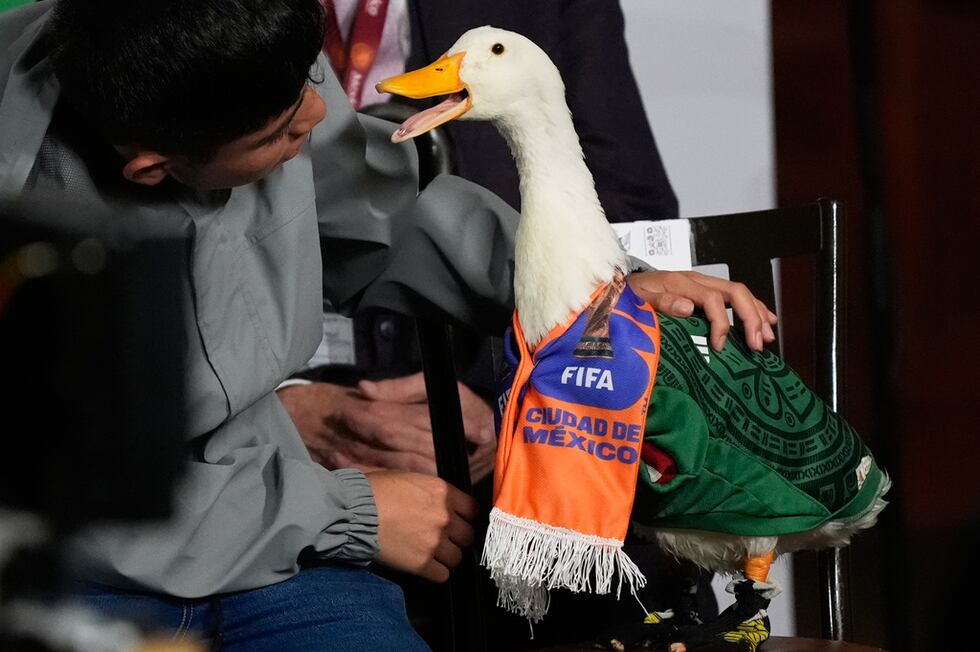 Christian Gomez interactúa con su pato Merlín, vestido con la camiseta de la selección...