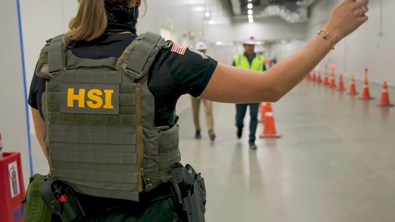 ARCHIVO | ICE operativo en Georgia