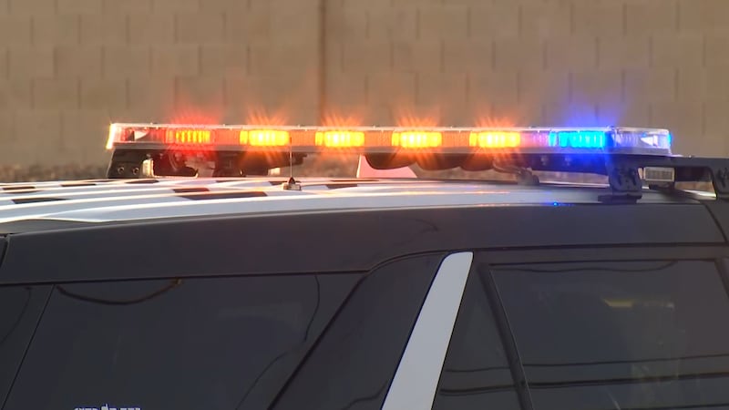 Photo of the Las Vegas Metropolitan Police Department.