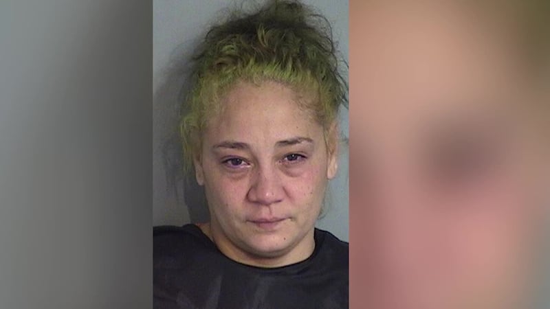 "La madre empeoró la situación", dijo agente del Sheriff. Detienen a hispana por presuntamente...