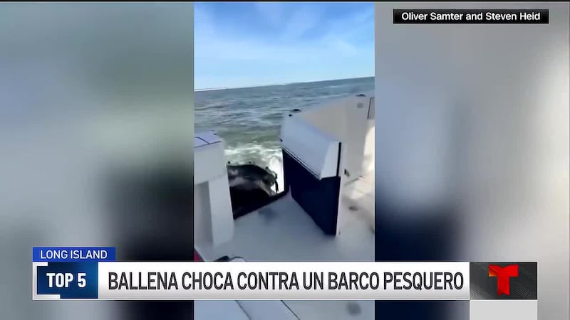 TOP 5 con Vanessa Serna | 14 de octubre de 2026